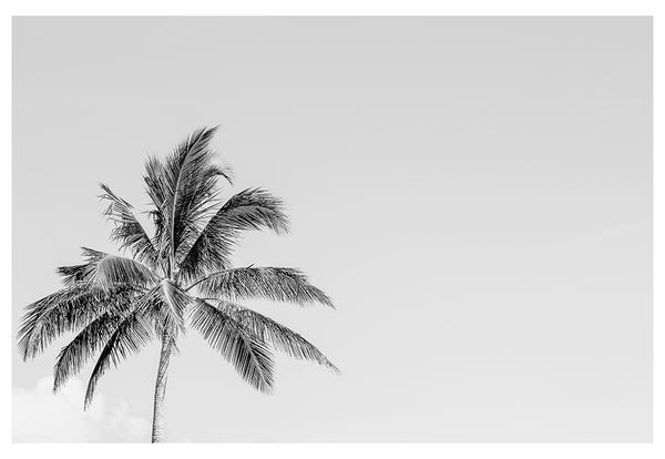 Modern Fine Art Photograph - Southern Breeze