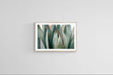 Modern Fine Art Photograph - Spring Agave #4