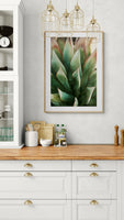 Modern Fine Art Photograph - Spring Agave #2