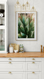 Modern Fine Art Photograph - Spring Agave #2
