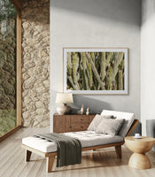 Modern Fine Art Photograph - Spring Cactus #1