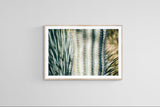 Modern Fine Art Photograph - Spring Cactus #4