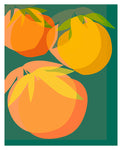 Spring Citrus #3 - Botanical Art Print