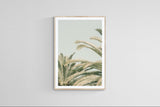 Modern Fine Art Photograph - Spring Mint #2