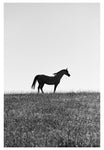 Modern Fine Art Photograph - Standing In The Sun #1