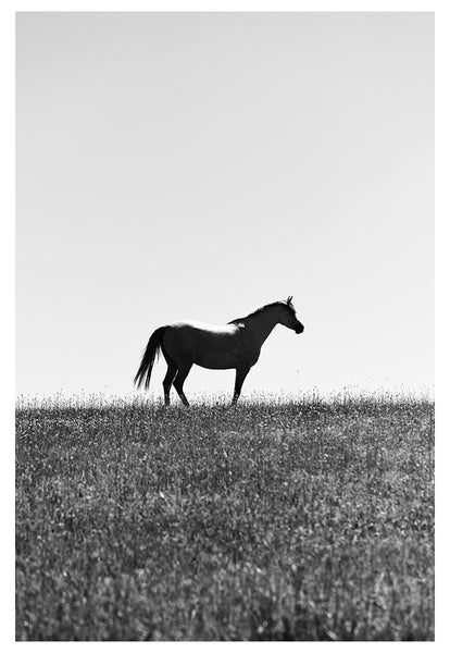 Modern Fine Art Photograph - Standing In The Sun #1