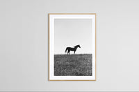 Modern Fine Art Photograph - Standing In The Sun #1
