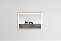 Modern Fine Art Photograph - Standing In The Sun #2