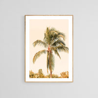 Modern Tropical Photograph - Standing Tall