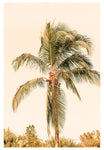 Modern Tropical Photograph - Standing Tall