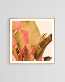 Modern Floral Photograph - Summer Layers #1