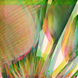 Modern Floral Photograph - Summer Layers #2