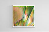 Modern Floral Photograph - Summer Layers #2