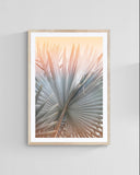 Modern Fine Art Photograph - Summer Romance