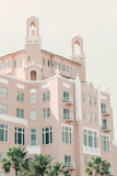 Modern Fine Art Photograph - The Pink Lady #1