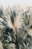 Modern Fine Art Photograph - This I Know