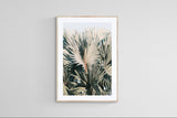 Modern Fine Art Photograph - This I Know