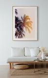 Modern Tropical Photograph - Venetian Palms