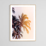 Modern Tropical Photograph - Venetian Palms