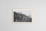 Modern Fine Art Photograph - Waking Up In The Dunes #2