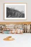 Modern Fine Art Photograph - Waking Up In The Dunes #2