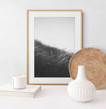 Modern Fine Art Photograph - Waking Up In The Dunes #1
