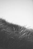 Modern Fine Art Photograph - Waking Up In The Dunes #1