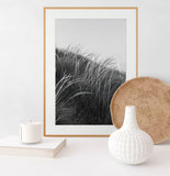 Modern Fine Art Photograph - Waking Up In The Dunes #3