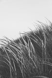 Modern Fine Art Photograph - Waking Up In The Dunes #4