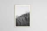 Modern Fine Art Photograph - Waking Up In The Dunes #4