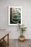 Let's Ride Bikes - Fine Art Photograph
