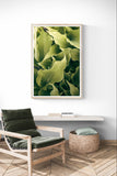 Modern Fine Art Photograph - Morning Hosta #2