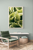 Modern Fine Art Photograph - Morning Hosta #4