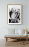 Modern Fine Art Photograph - Silver Skies #3