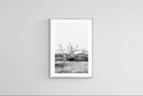 Modern Fine Art Photograph - What Remains