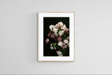 Modern Botanical Photograph - Winter Floral #1