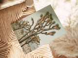 Blank Note Card - Joshua Tree With Crow