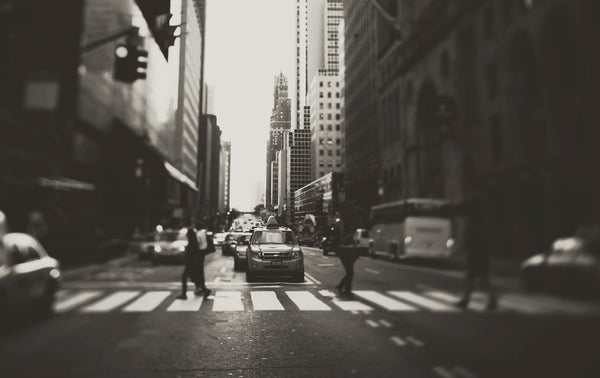 Crossing - Fine Art Photograph