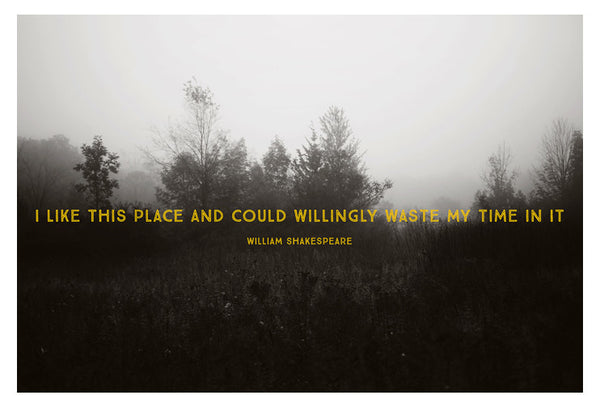I Like This Place - Fine Art Photograph