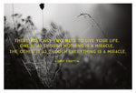 Everything Is - Fine Art Photograph