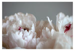 A New Day - Fine Art Photograph