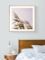August Breeze #1 - Fine Art Photograph