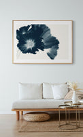 Modern Botanical Photograph - Blue Cosmos