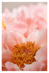 Carried Away -  Fine Art Photograph