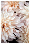 Cafe Au Lait #3 - Fine Art Photograph