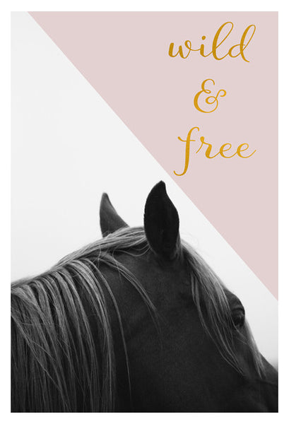 Wild & Free (Pink Horse) - Fine Art Photograph