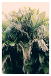 Jungle Sun - Fine Art Photograph