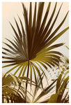 Layered Leaves - Fine Art Photograph