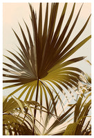 Layered Leaves - Fine Art Photograph