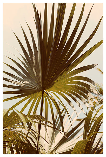 Layered Leaves - Fine Art Photograph